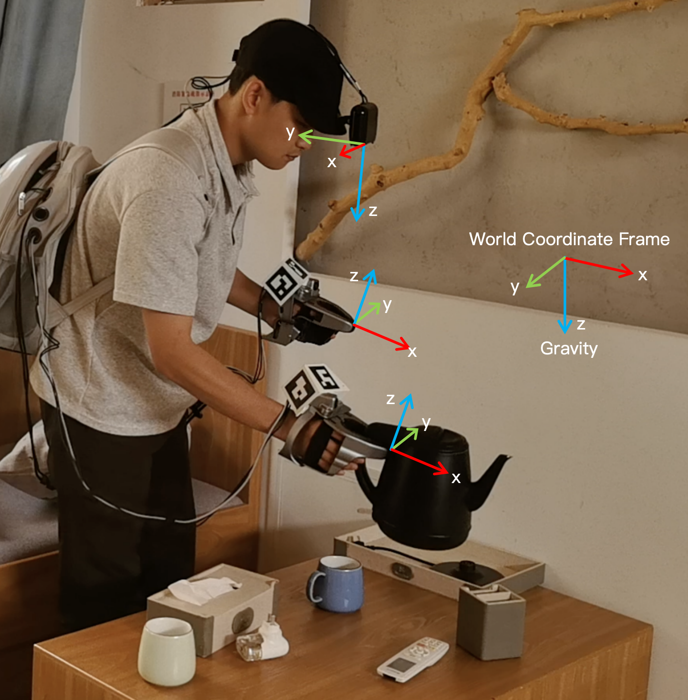 HiFi-UMI hand, head-camera, and shared world coordinate-frame conventions